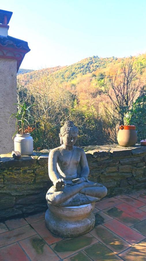 Maison Do Mi Sol Reynès エクステリア 写真
